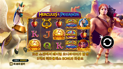 피쉬 아이