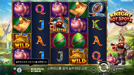 와일드 와일드 리치스