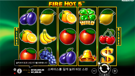 와일드 비치 파티