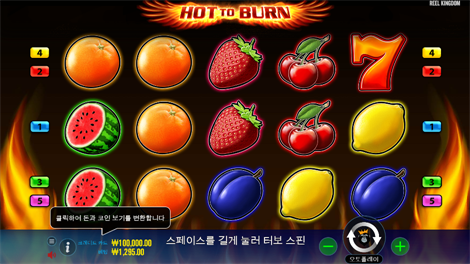 코스믹 캐시