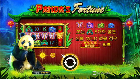 노스 가디언즈