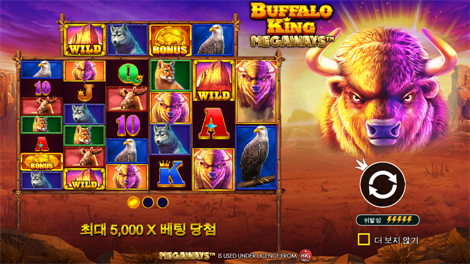 엑스트라 쥬씨