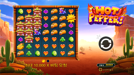 사파리 킹