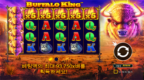 와일드 셀러브리티 버스 메가웨이즈