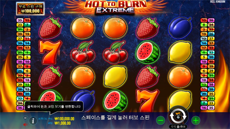와일드 글래디에이터즈