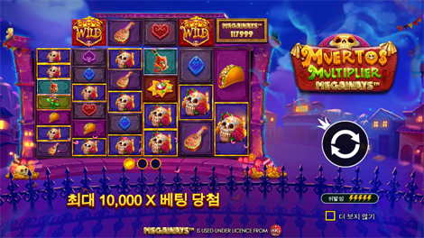 코이 폰드