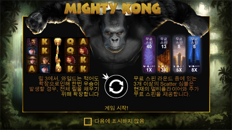 럭키 뉴 이어: 타이거 트레져스